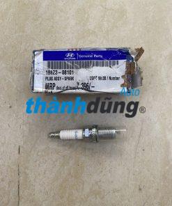 BUGI ĐÁNH LỬA HYUNDAI TERRACAN
