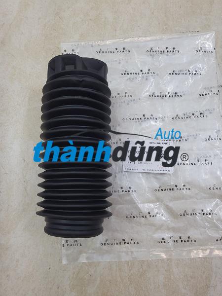 CAO SU CHỤP BỤI PHUỘC NHÚN PEUOGET 207