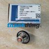 VAN HẰNG NHIỆT FORD FIESTA 1.6 - 4M5G8575ZB