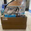 ĐÈN PHA TRÁI HYUNDAI STAREX 2004