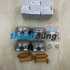 PISTON NISSAN QASHQAI 2008-2012 | 12010EW80A