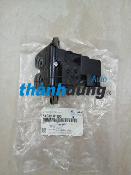 Ổ NGẬM CỐP HẬU XE HYUNDAI AVANTE 2011 | 812301H300