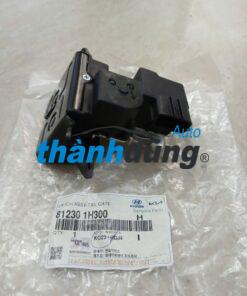 Ổ NGẬM CỐP HẬU XE HYUNDAI AVANTE 2011 | 812301H300