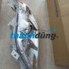 ĐÈN PHA XE TOYOTA CAMRY LE 2009 | 90919T1002